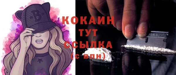 ALPHA PVP Ельня