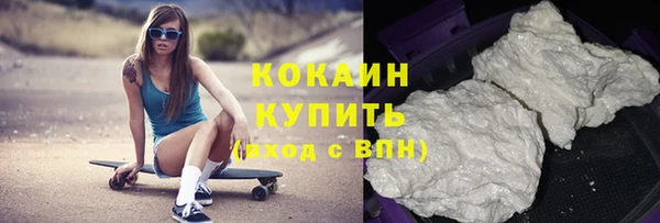 ALPHA PVP Ельня