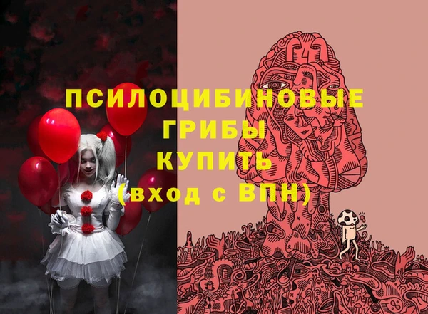 ECSTASY Елабуга