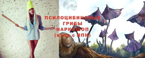 ALPHA PVP Ельня