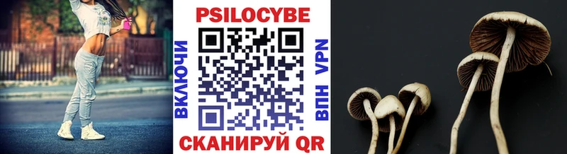 купить наркотик  Яровое  ссылка на мегу зеркало  Псилоцибиновые грибы мухоморы 